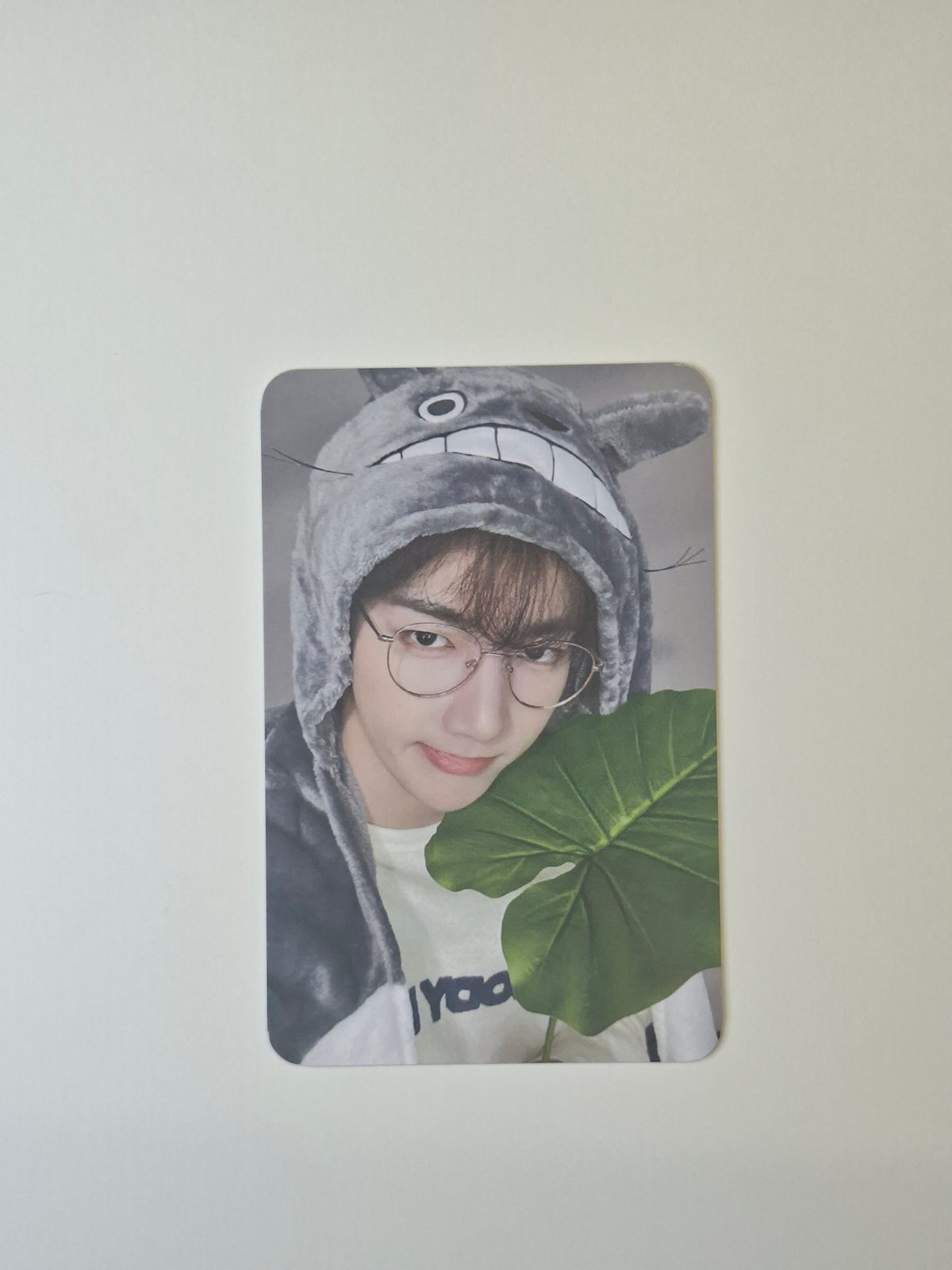 Zerobaseone Everline Lucky Draw Zhanghao Totoro