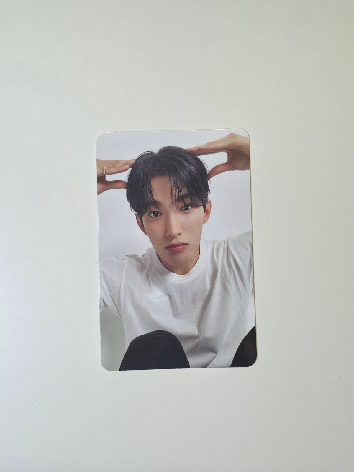 Seventeen 17 is Right Here Dear Version