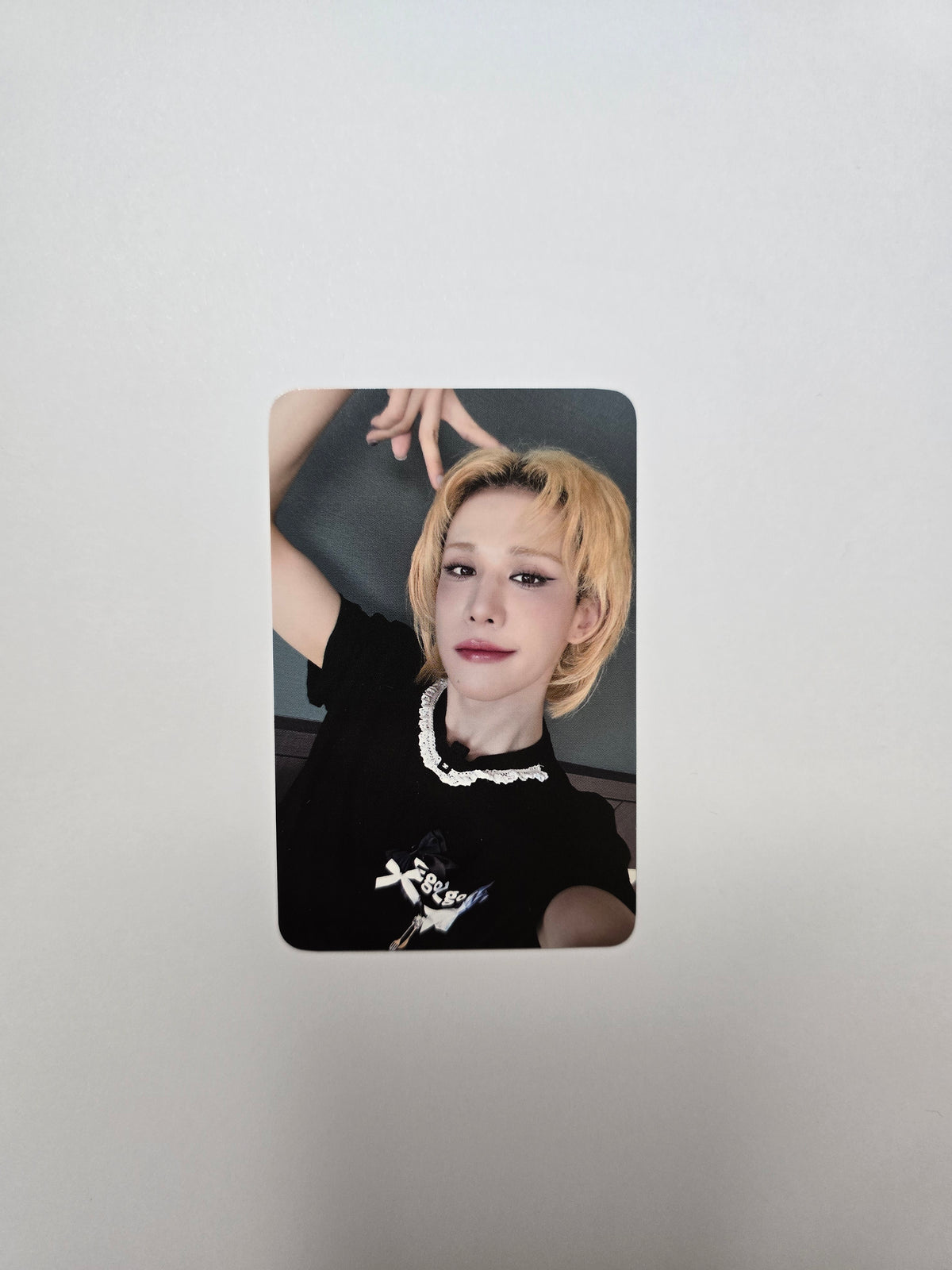 Xlov x EgoZgo Photocard set