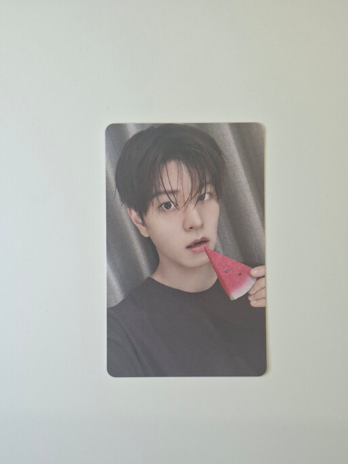 Stray Kids This & That Fans Shop POB