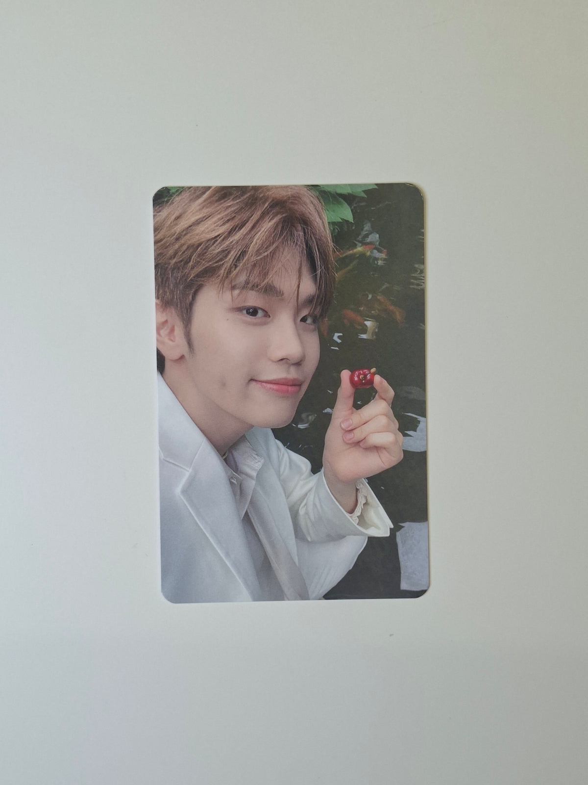 Zerobaseone Fancon Trading Card