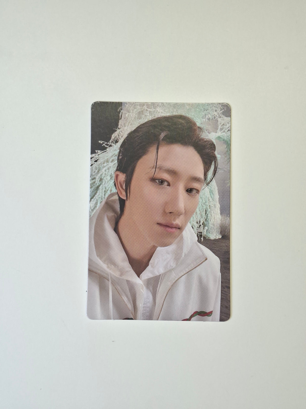Seventeen Sector 17 Album Photocard