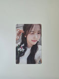 Rescene Dearest QR Album Photocard