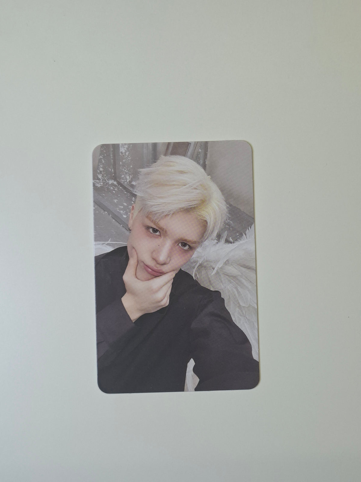 &Team Back to Life Mini CD Photocard
