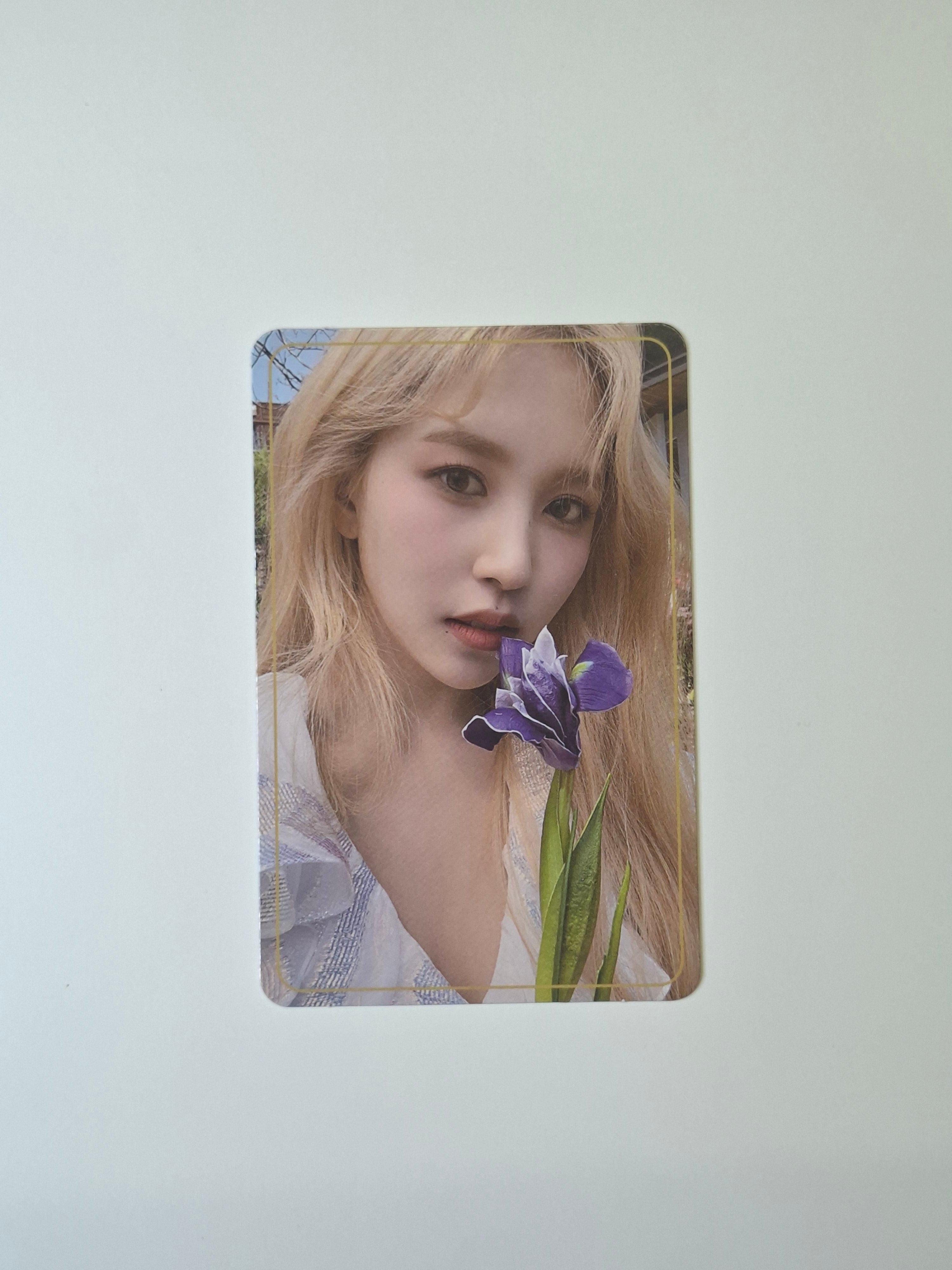 Twice More & More Album Photocard