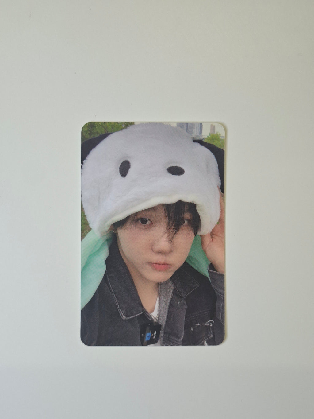 Modyssey 1.Get Hooked Offik Cafe Drink Photocard
