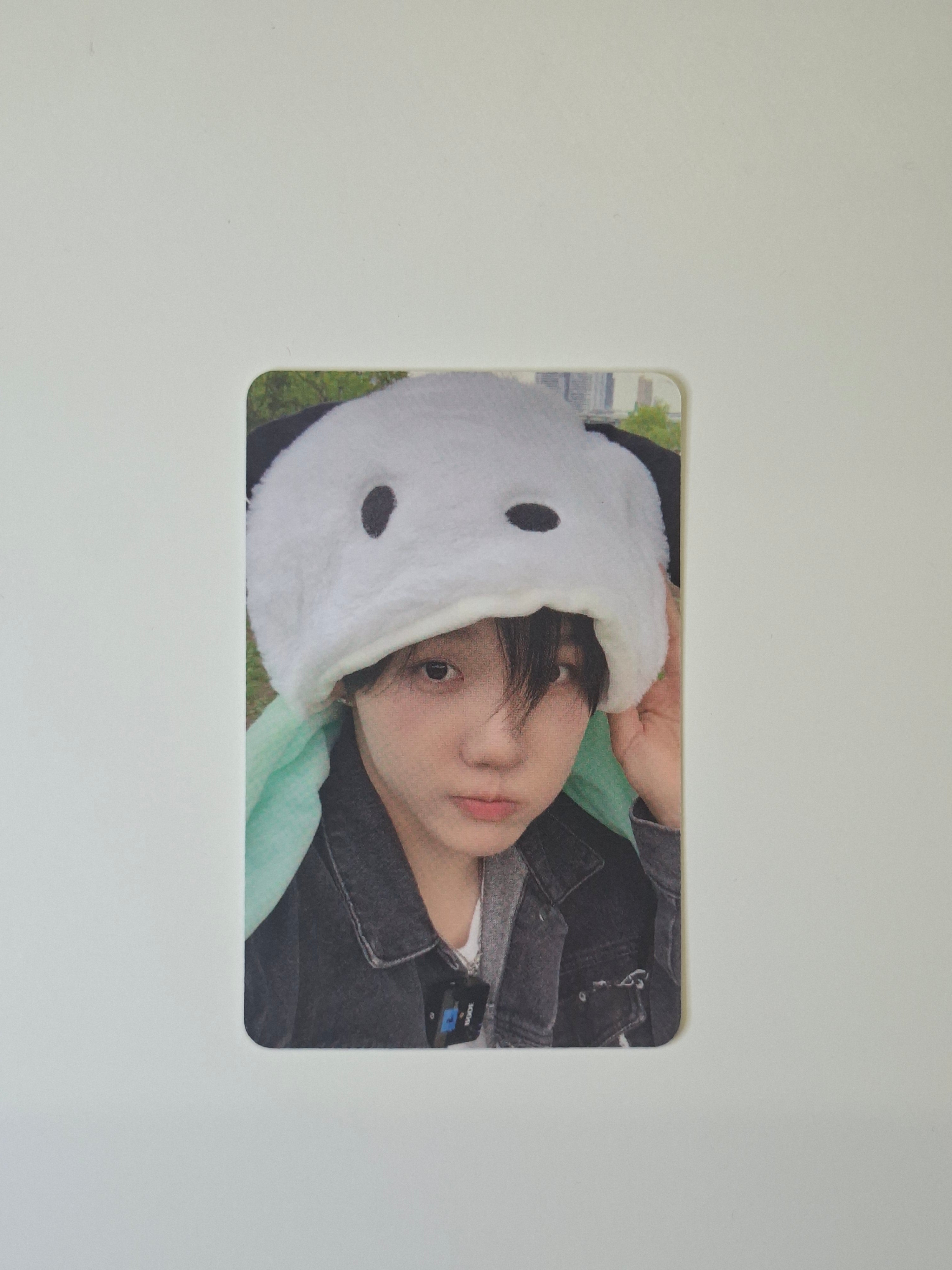 Modyssey 1.Get Hooked Offik Cafe Drink Photocard