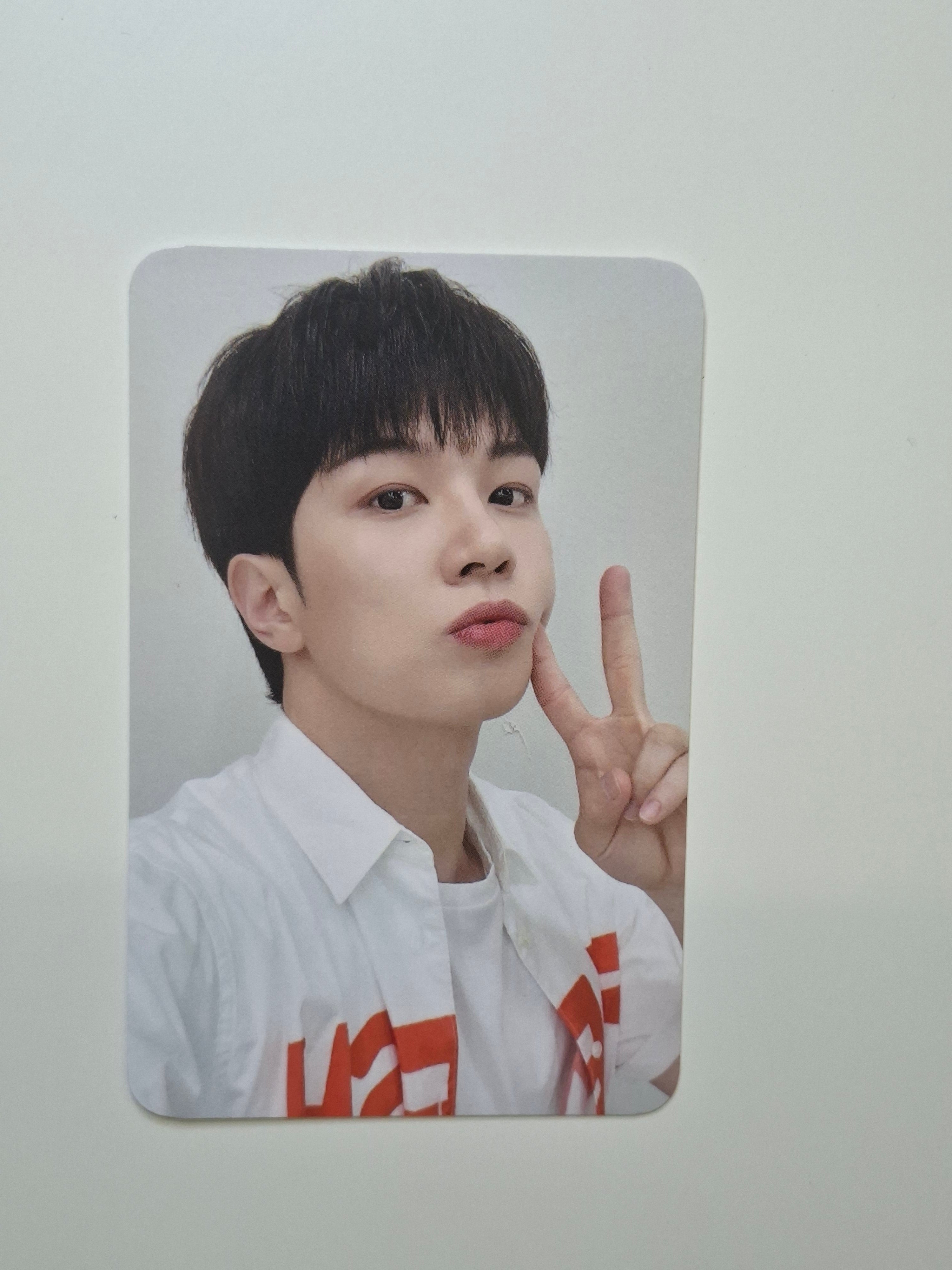N.Flying Everlasting Everline POB