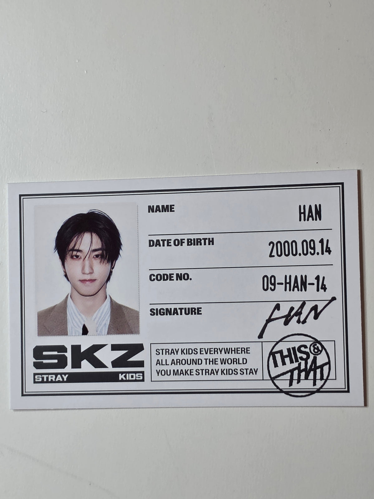 Stray Kids This & That ID Cards