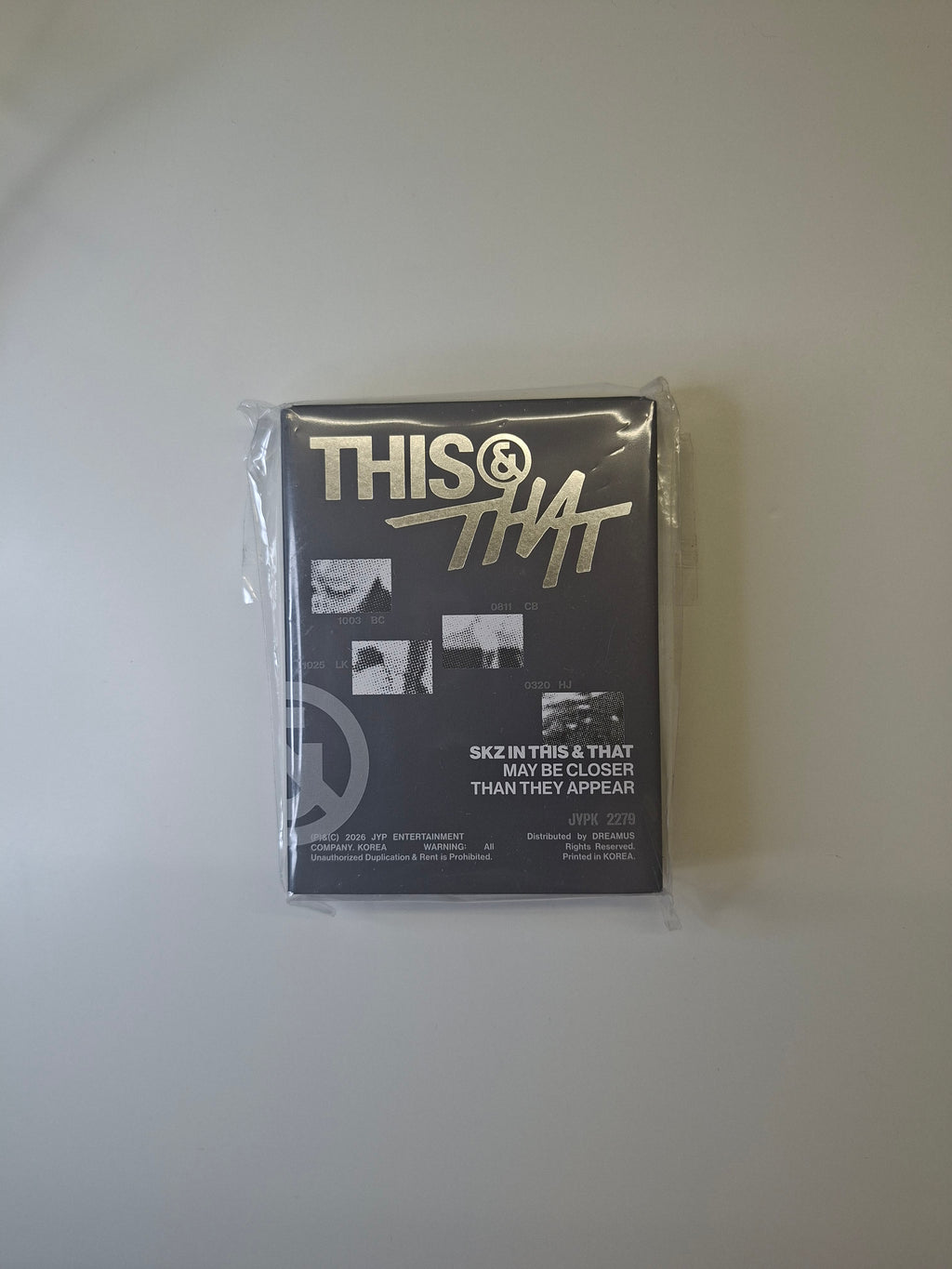 Stray Kids This & That Fans Album