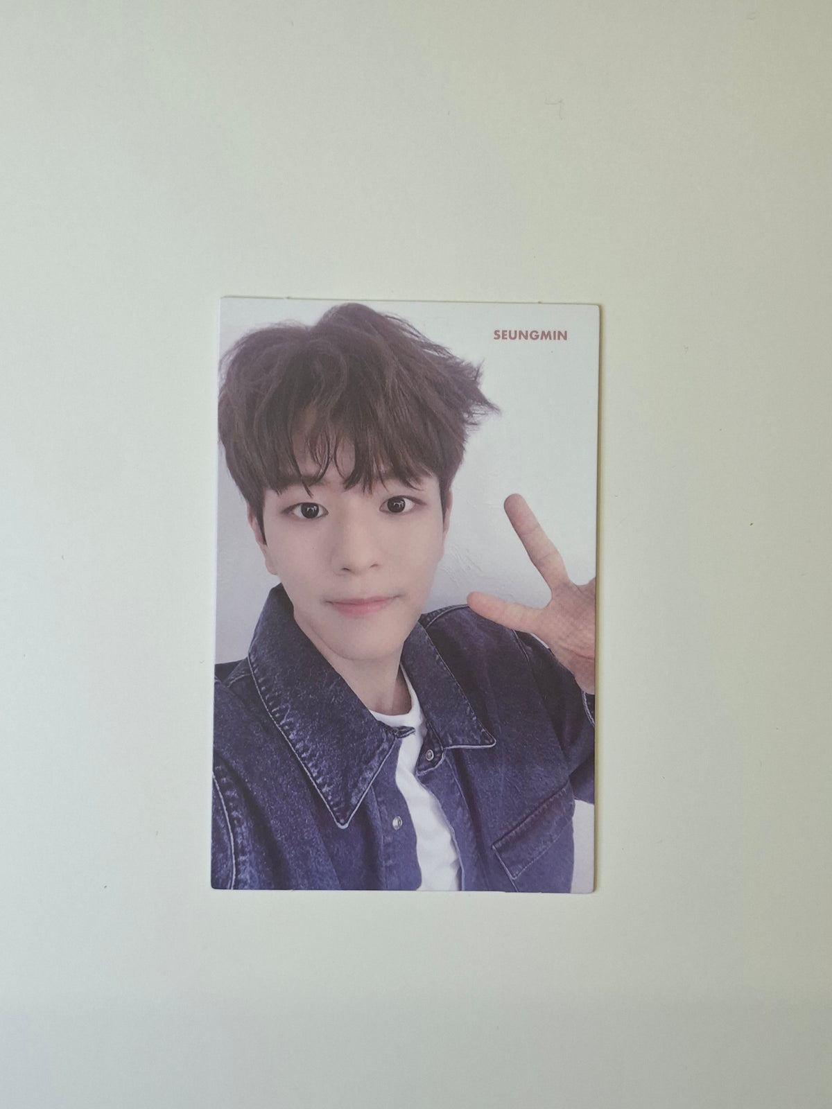Stray Kids I am you Album Photocard